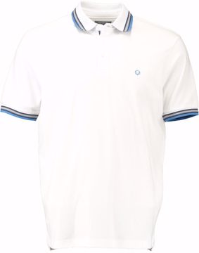 SALT POLO FINE PIQUE OXFORD