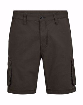 BLB CARGO SHORTS