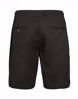 SALT AOP SHORTS