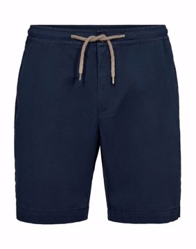 SALT AOP SHORTS