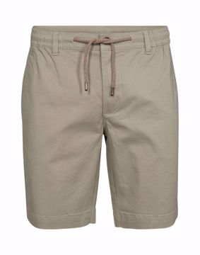 SALT AOP SHORTS