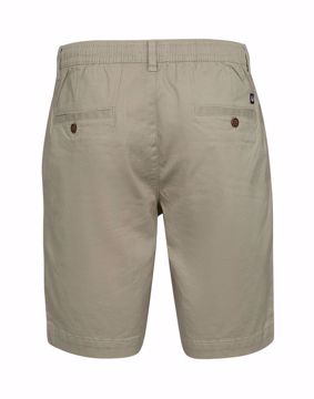 SALT AOP SHORTS