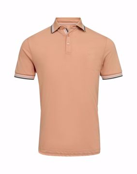 SALT MENS POLO BRICK