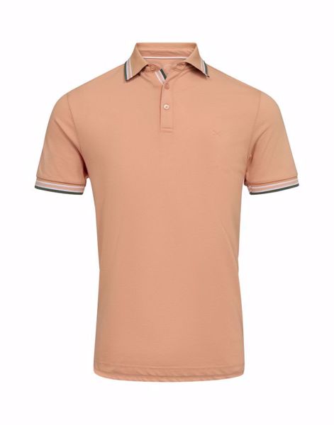 SALT MENS POLO BRICK