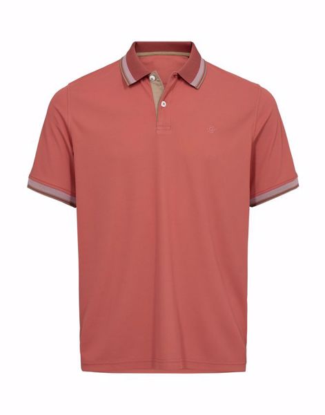 Salt POLO MODERN FIT