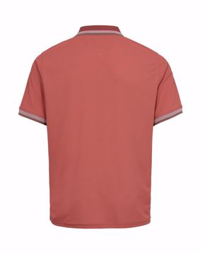 Salt POLO MODERN FIT
