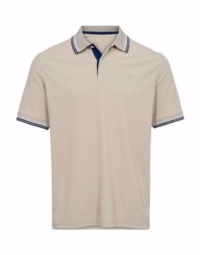 Salt POLO MODERN FIT