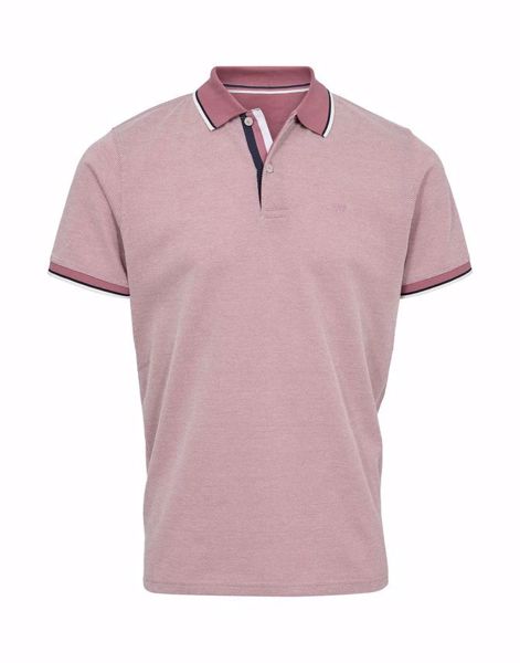 BLB REGULAR FIT POLO