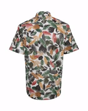 TR REG.FIT S/S SHIRT